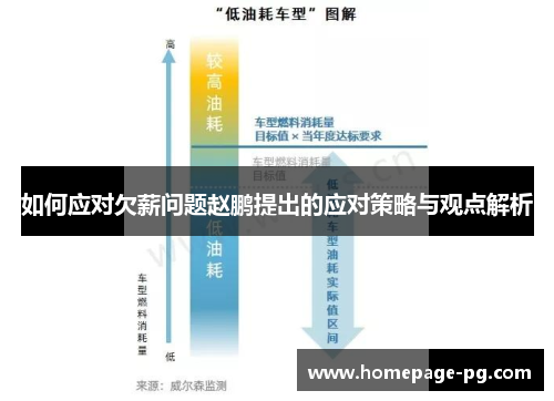 如何应对欠薪问题赵鹏提出的应对策略与观点解析