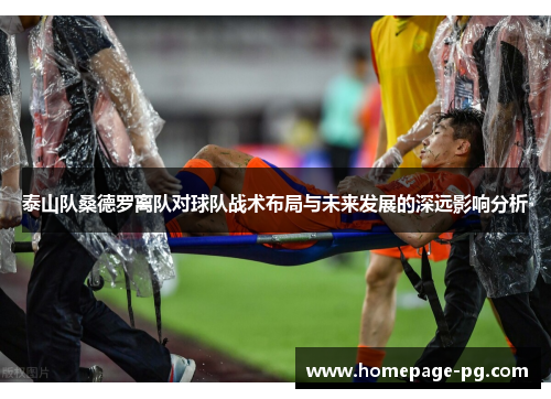 泰山队桑德罗离队对球队战术布局与未来发展的深远影响分析