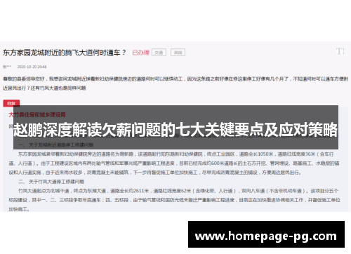 赵鹏深度解读欠薪问题的七大关键要点及应对策略