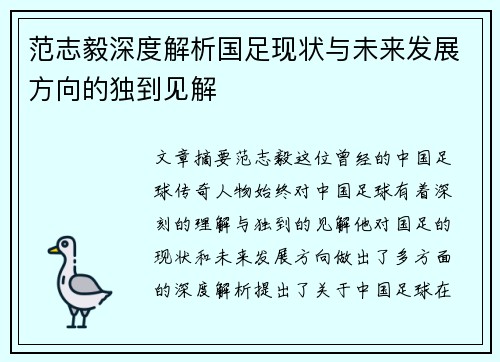范志毅深度解析国足现状与未来发展方向的独到见解